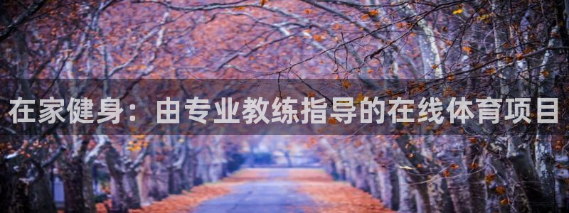 星欧娱乐扣款流程详解图