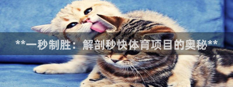 星欧娱乐最建议买的三个产品是什么