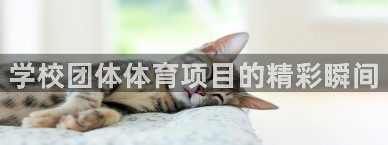 星欧娱乐挂机教程