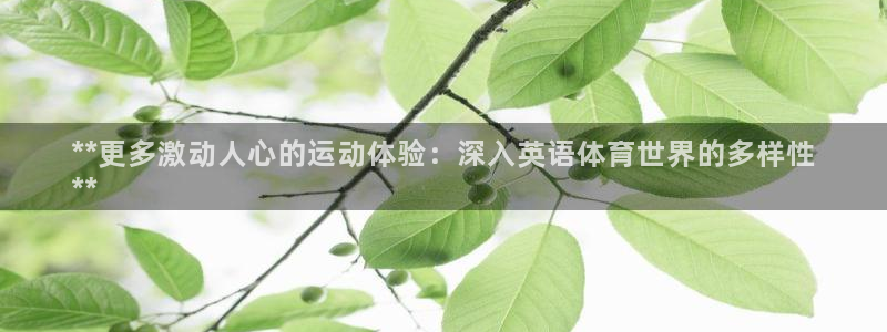 星欧娱乐联4.8.5.6.2.4.3下载