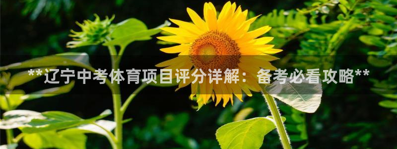 星欧娱乐最建议买的三个产品