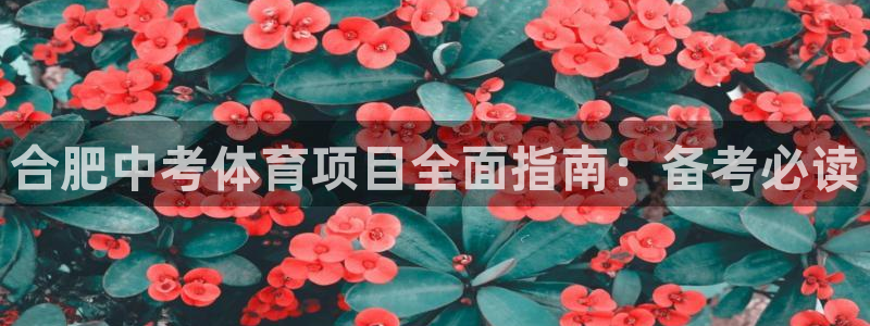 星欧娱乐会员优惠活动
