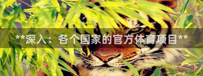 星欧娱乐最建议买的三个产品有哪些呢