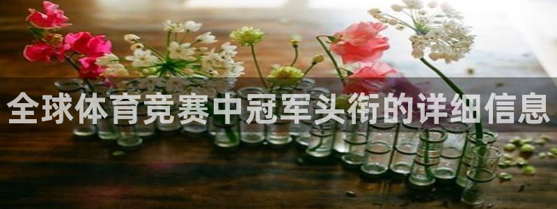 星欧娱乐扣款流程详解视频下载