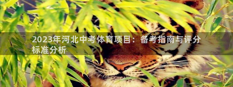 永韬星娱乐