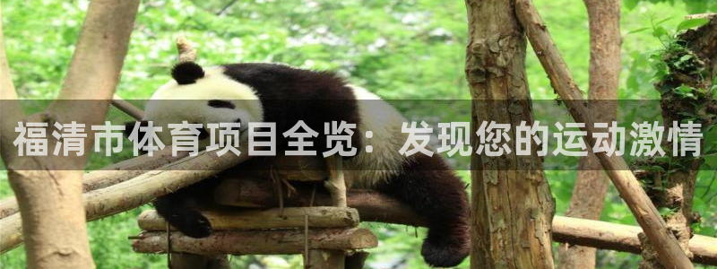 星奥娱乐待遇怎么样