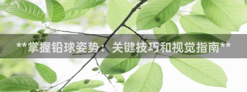 星奥娱乐微博