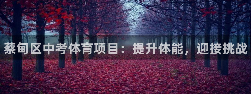 星娱乐文化传媒