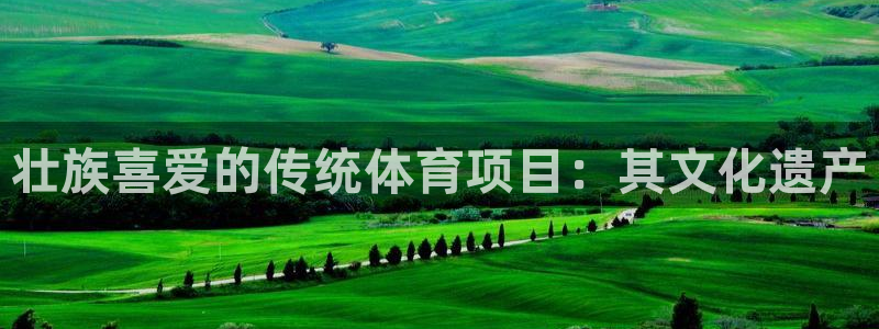 星欧娱乐属于什么档次的网站