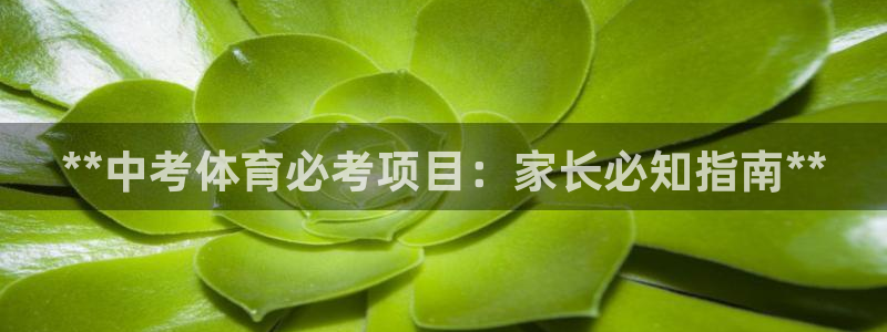 星欧娱乐法711.112扣费如何处理