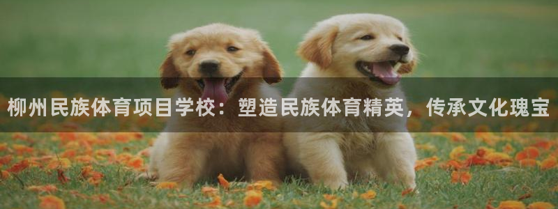星娱乐online创作的原声胡歌吴磊