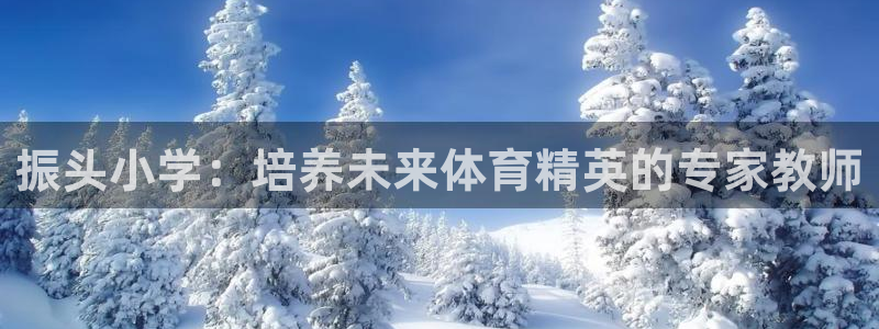 星奥娱乐集团股份有限公司招聘