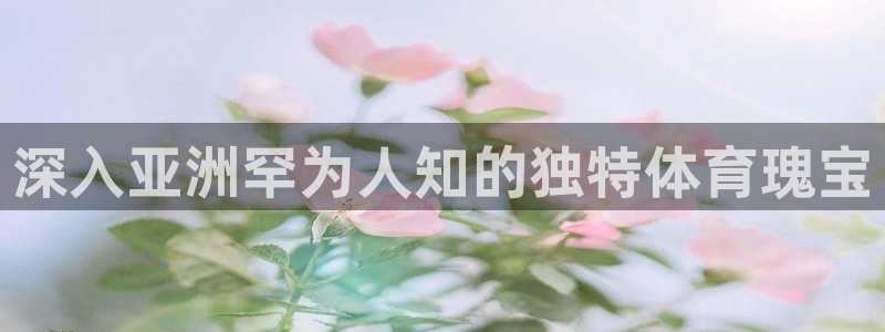 星欧娱乐官网首页入口