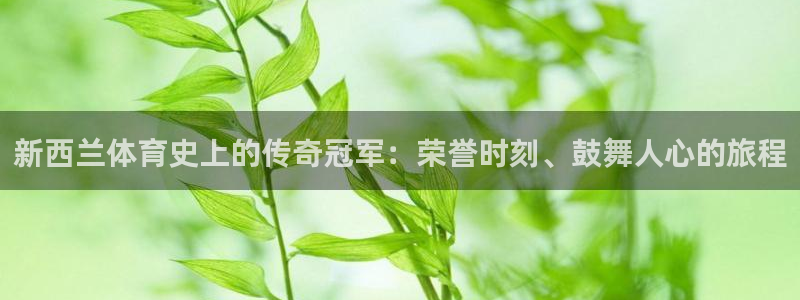 星欧娱乐公司简介