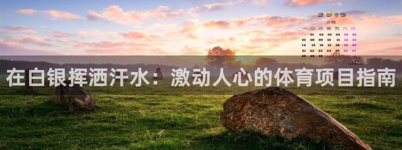 星欧娱乐官方客服联系方式查询