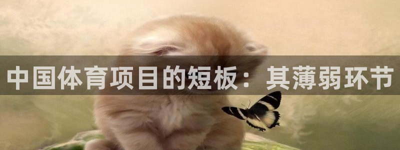 星欧娱乐属于什么档次的公司