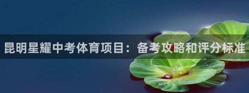 星乐娱乐