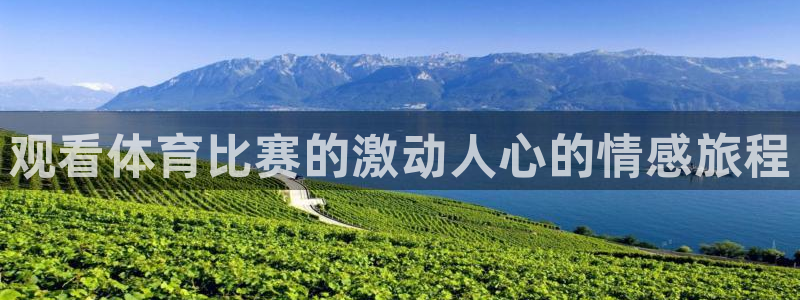 星欧娱乐联最新功能介绍
