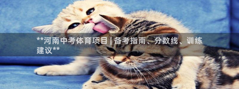 星欧娱乐官方客服联系方式