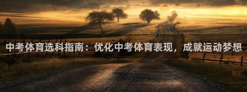 星欧娱乐联游戏评测