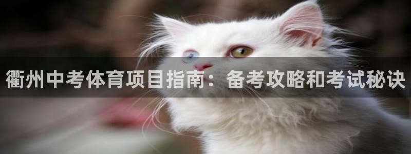 星欧娱乐的官方版本更新内容有哪些