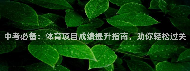 星欧娱乐平台怎么样可靠吗知乎