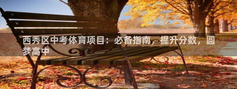 澳星国际娱乐集团