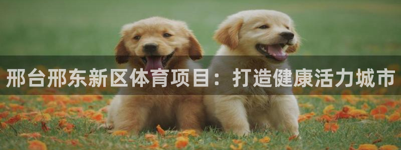 星欧娱乐最建议买的三个产品