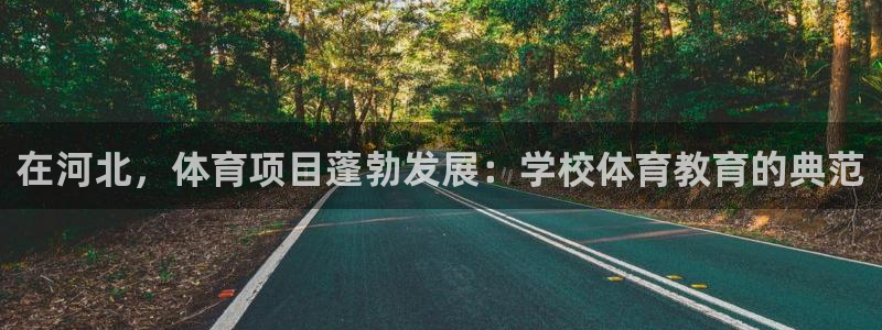 星奥娱乐集团怎么样