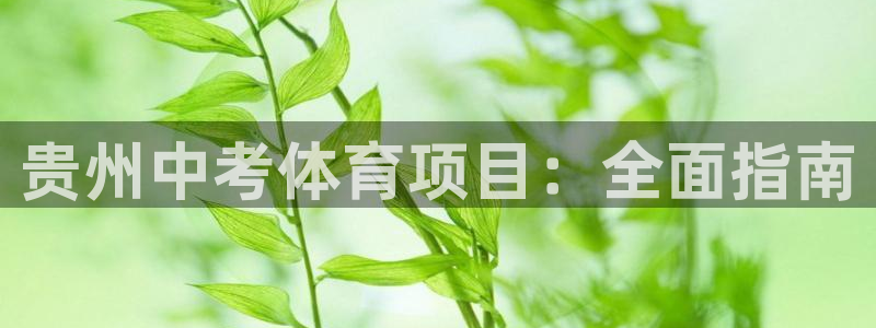 星欧娱乐扣钱步骤详解