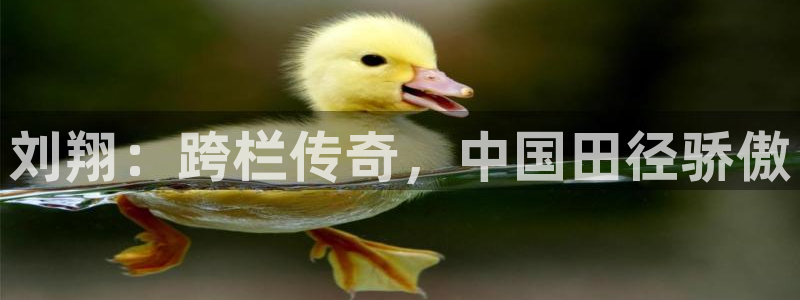 星欧娱乐退款电话人工服务