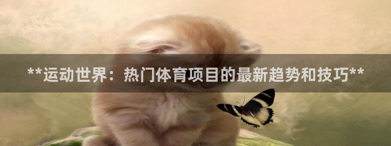 星欧娱乐退款流程详解