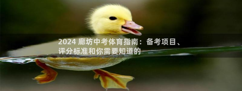 星欧娱乐最建议买的三个产品