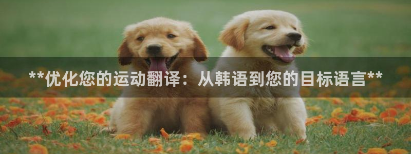 星欧娱乐扣款流程详解图