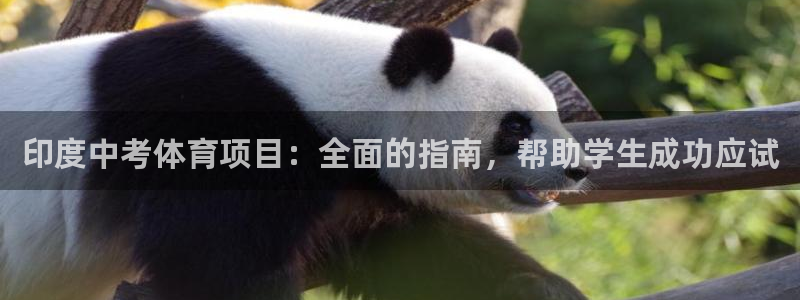 星欧娱乐的官方版本更新内容是什么