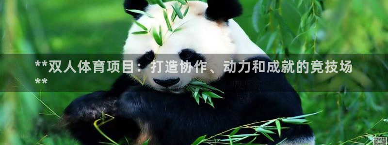 星欧娱乐挂机教程