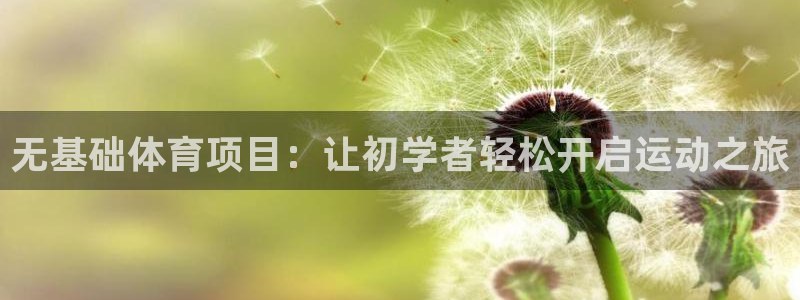 星欧娱乐公司