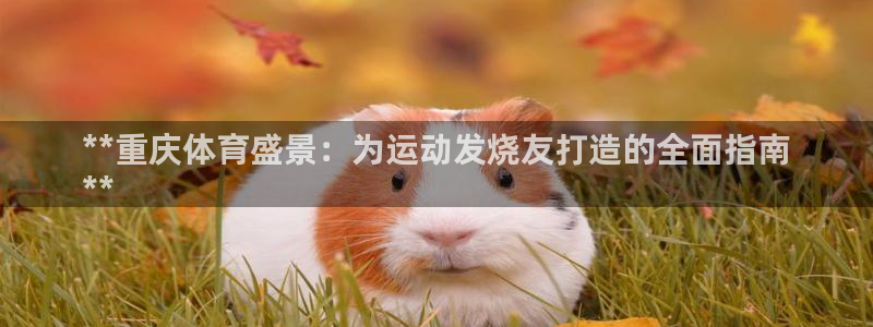 星欧娱乐彩票软件下载