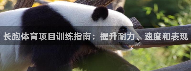 星欧娱乐的创始人背景故事是什么