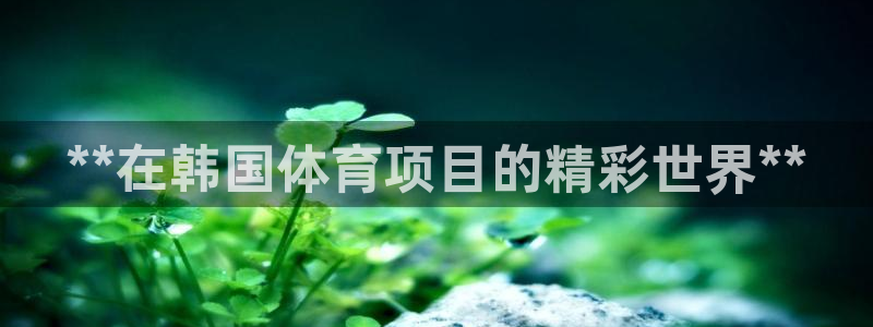 江苏星奥娱乐有限公司招聘