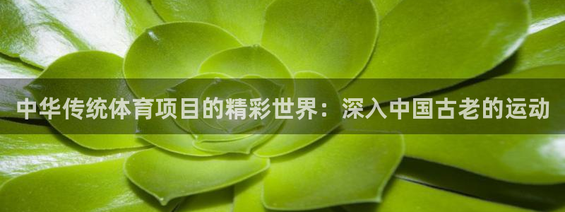 江苏星奥娱乐有限公司招聘