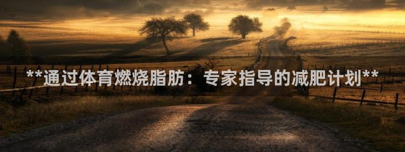 星游娱乐1官网下载