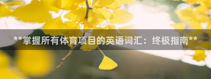星欧娱乐最建议买的三个产品是哪三个