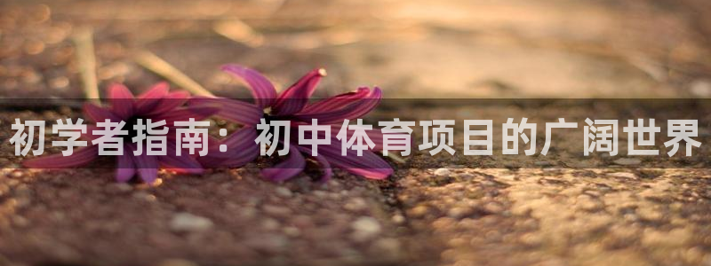 星欧娱乐扣款时间查询方法是什么