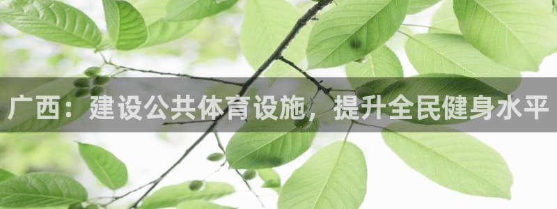 星欧娱乐属于什么档次的软件