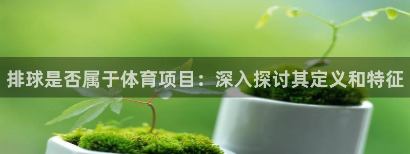 星奥娱乐怎么样