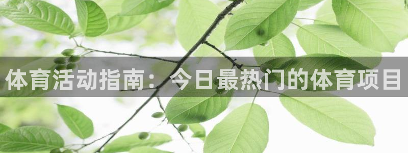 星欧娱乐平台怎么样知乎