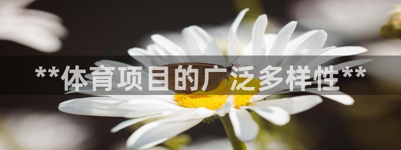 星娱乐包月是干嘛的
