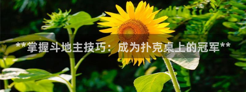 星欧娱乐还能玩吗