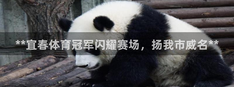 星奥娱乐微博